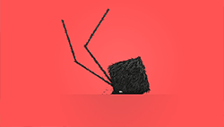Daddy Long Legs 