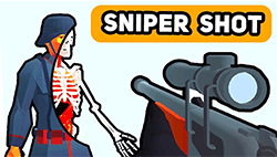 Sniper Shot: Bullet Time