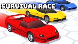 Survival Race